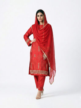 Red Nalki Worked Glass Organza Suit