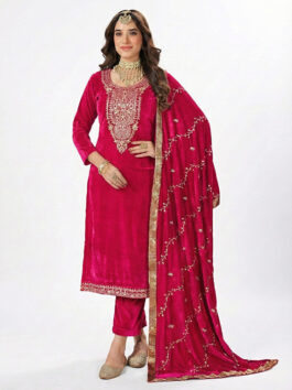 Velvet Suit with thread work