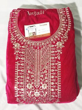 Velvet Suit with thread work